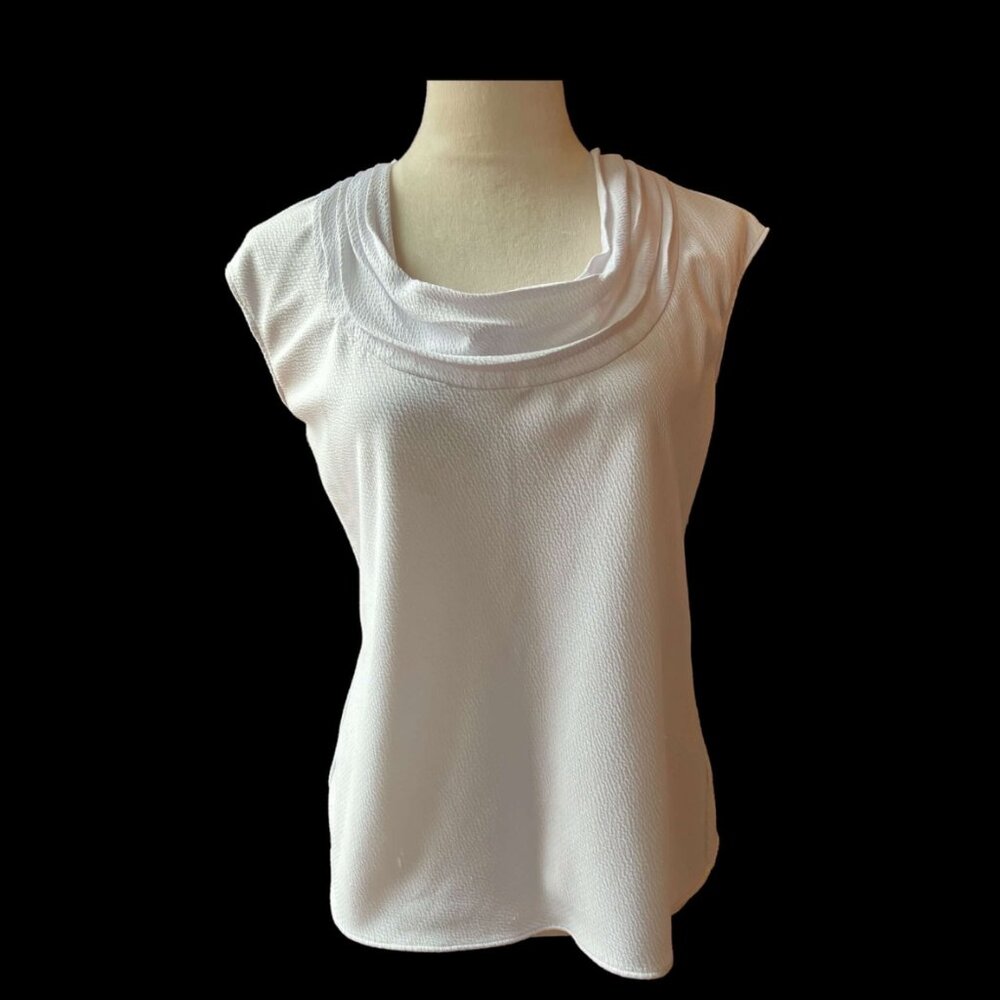 Charter Club Petite Blouse (1807-10)